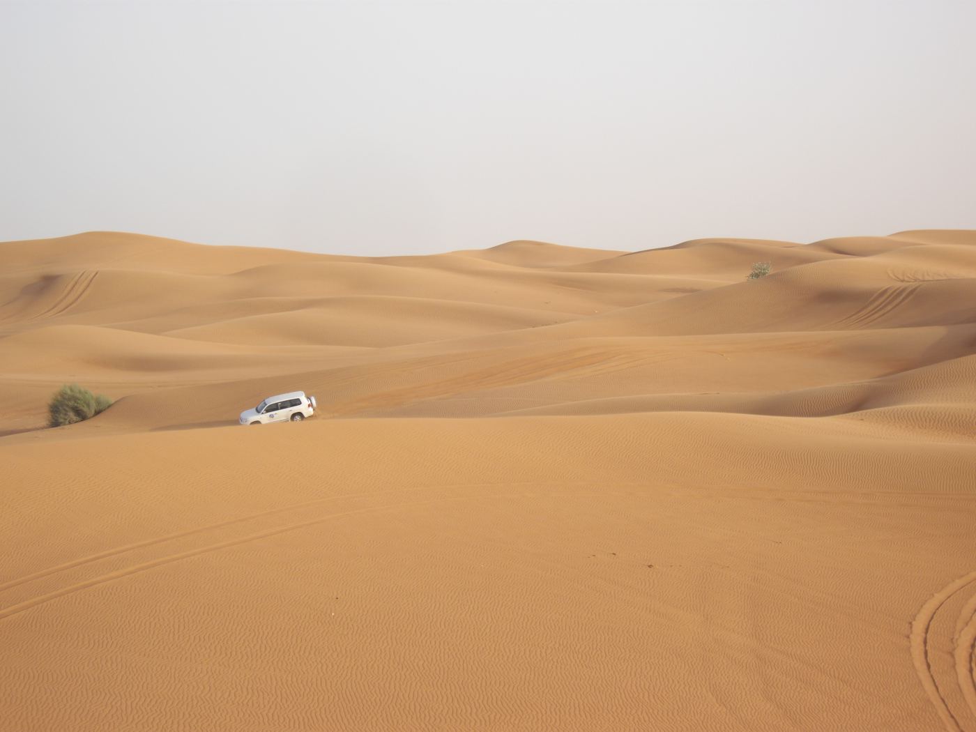 Unleash Your Adventurous Side in Dubai: Outdoor Activities to Try