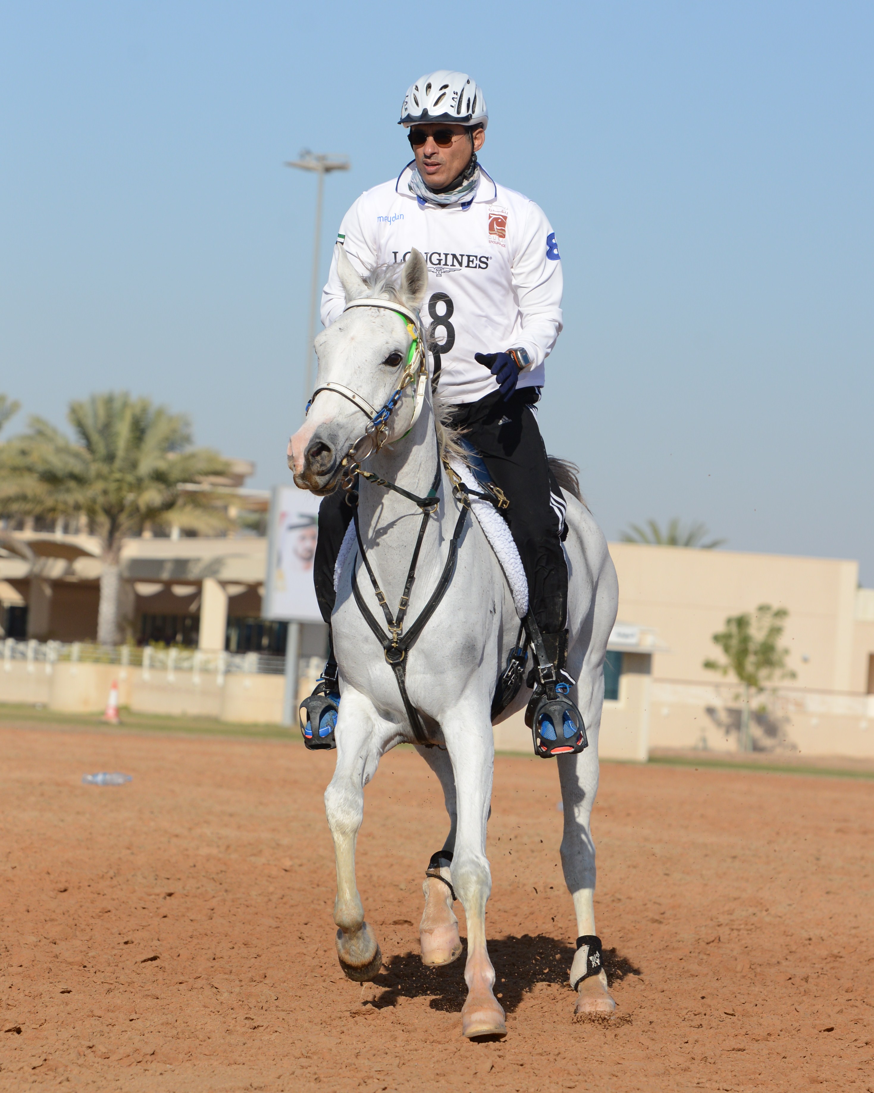 Horseback riding in Dubai: A great way to experience the beauty of Dubai from a different perspective