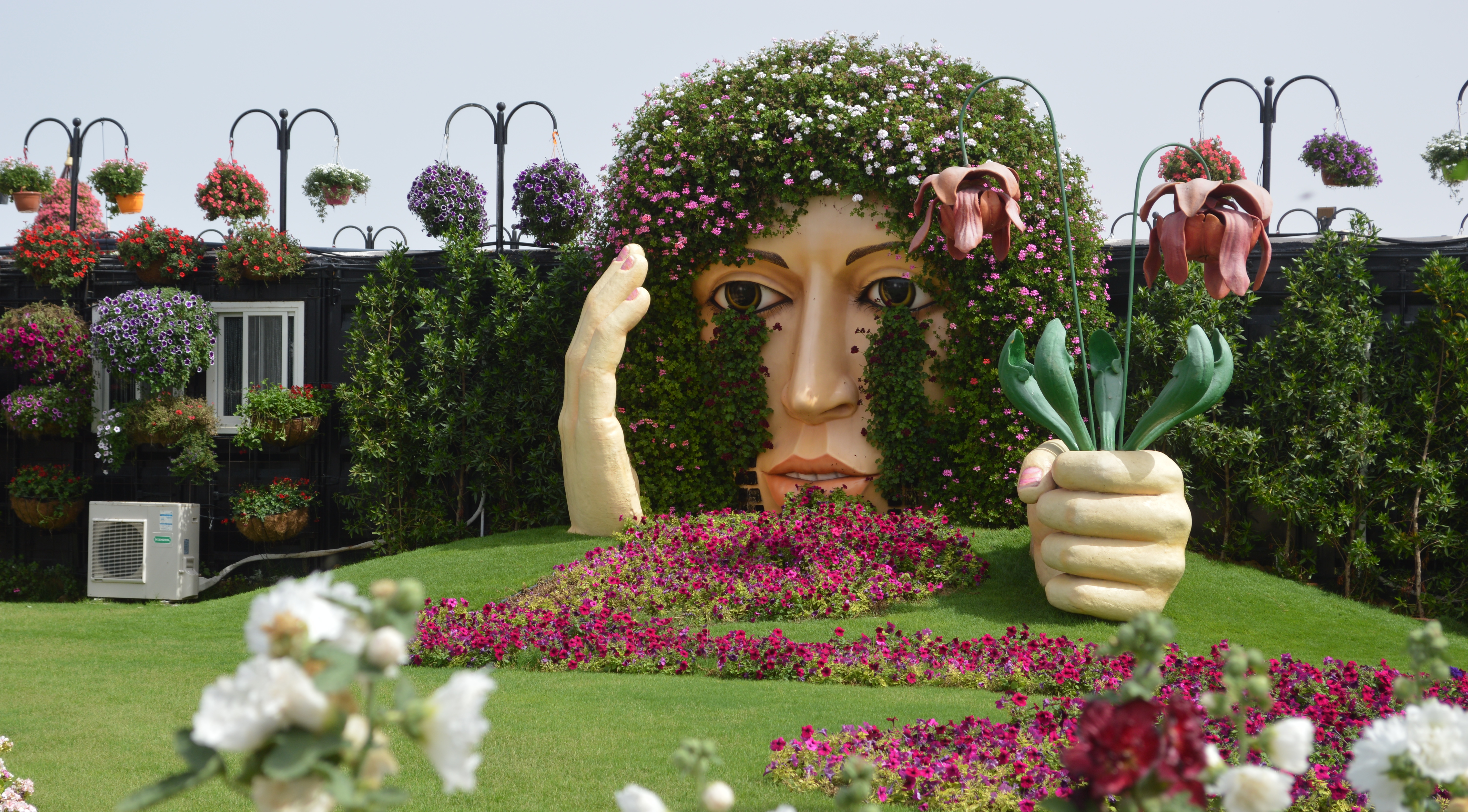 Miracle Garden: A Dubai Wonder