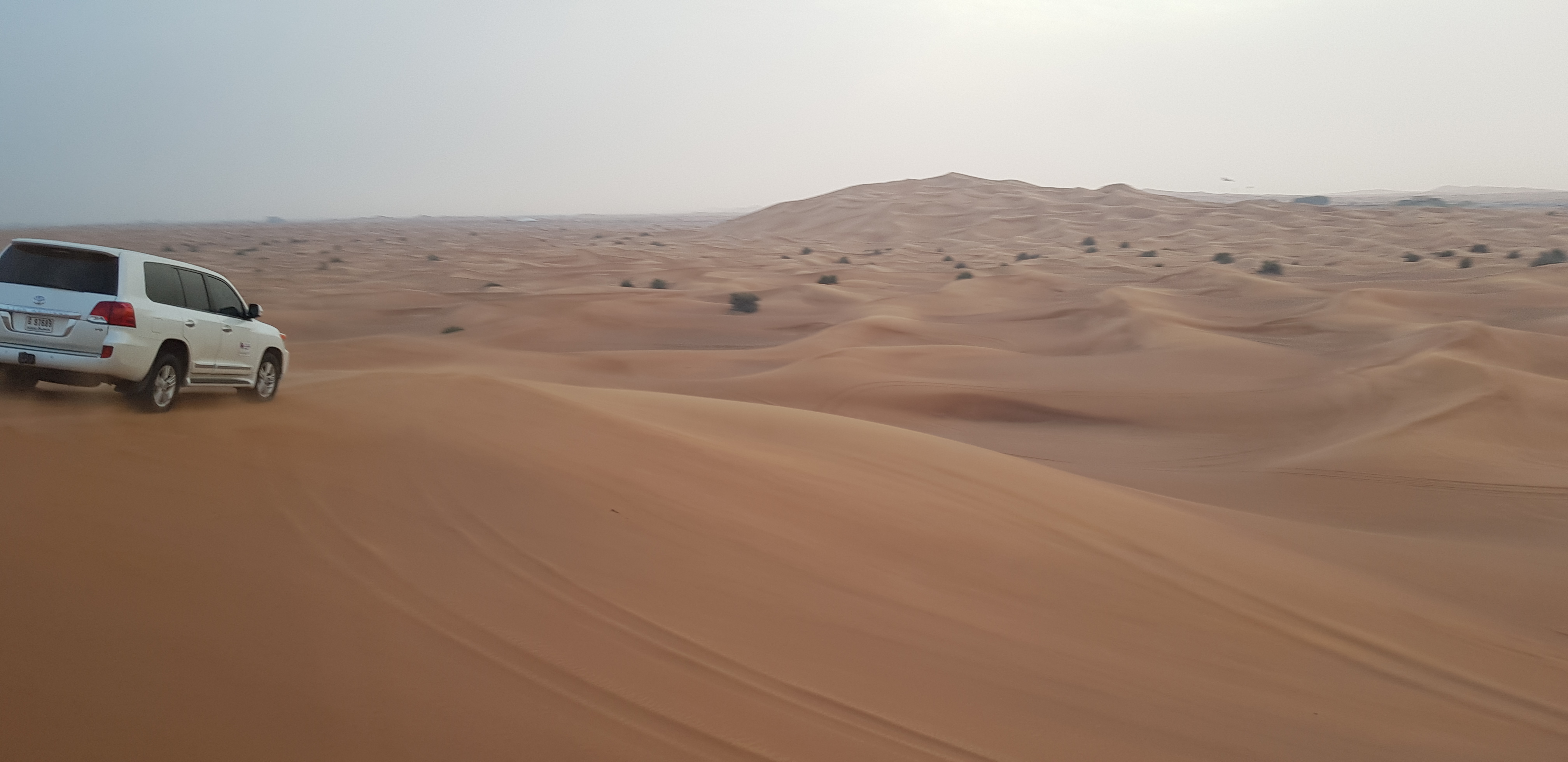 Thrilling desert safari in Dubai