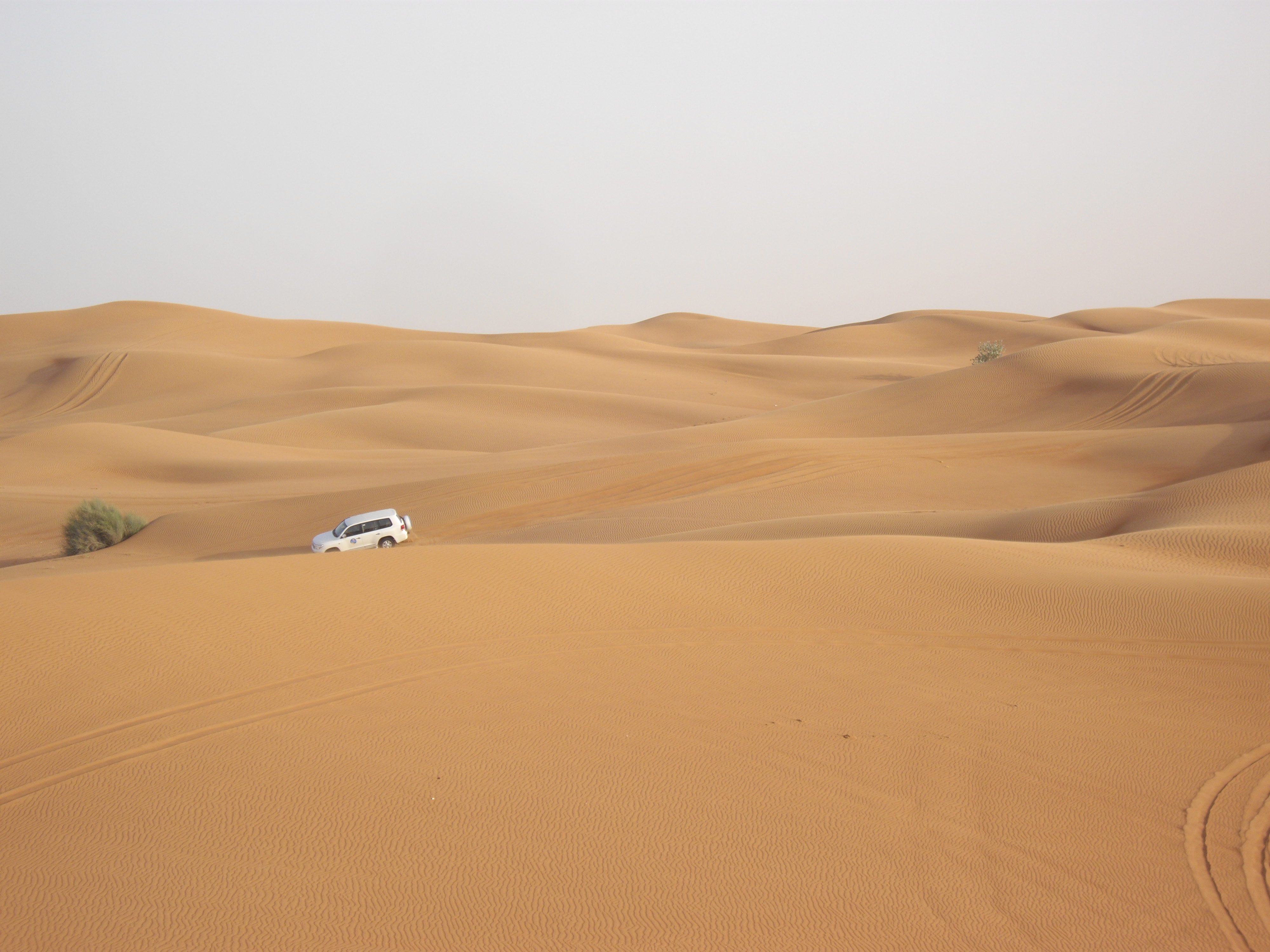 Unleash Your Adventurous Side in Dubai: Outdoor Activities to Try